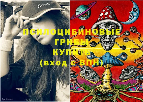 2c-b Костерёво