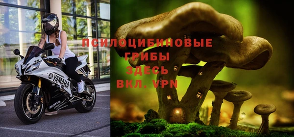 a pvp Коряжма