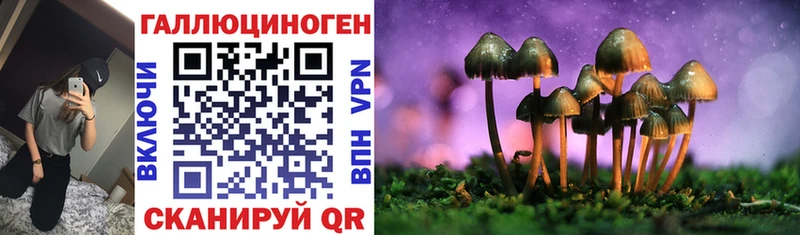 Псилоцибиновые грибы Cubensis  Купить  Лобня 
